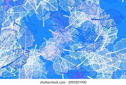 Light Blue, Red vector doodle backdrop with leaves. Leaves and flowers with gradient on white background. Elegant pattern for your brand book.