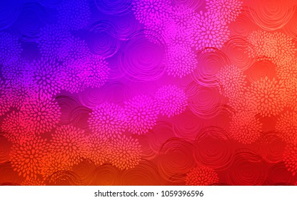 Light Blue, Red vector natural elegant pattern. An elegant bright illustration with flowers in Natural style. The best blurred design for your business.