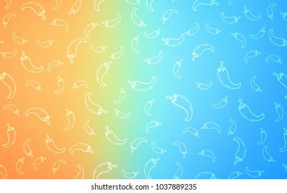 Light Blue, Red vector pattern with fresh peppers. Beautiful colored illustration with peppers in doodle style. Template for meal cooking in kitchen.