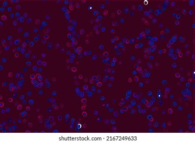 Light Blue, Red vector texture with disks. Beautiful colored illustration with blurred circles in nature style. Design for posters, banners.