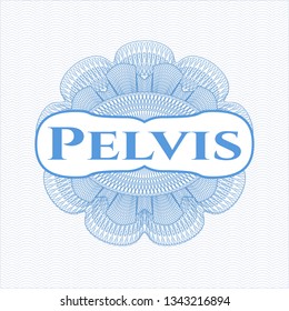 Light blue rosette or money style emblem with text Pelvis inside