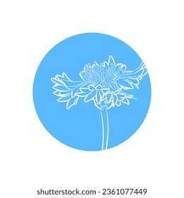 Light blue silhouette of cornflower in light blue circle. Vector illustration.