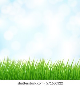 light blue sky and green grass background. vector