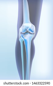 Light blue transparent view of bones the of knee