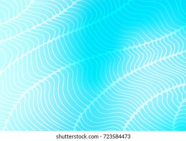 Light BLUE vector abstract doodle template. Colorful abstract illustration with lines in Asian style. Hand painted design for web, wrapping, wallpaper.