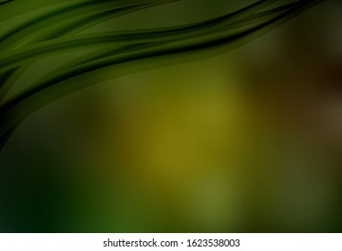 Light BLUE vector blurred bright texture. Abstract colorful illustration with gradient. New style for your business design.