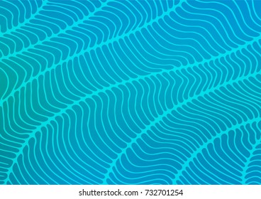 Light BLUE vector doodle blurred pattern. Colorful abstract illustration with lines in Asian style. The pattern can be used for coloring books and pages for kids.