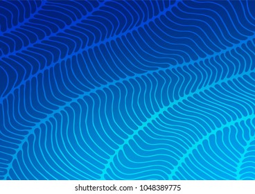 Light BLUE vector indian curved template. Doodles on blurred abstract background with gradient. A completely new template for your business design.