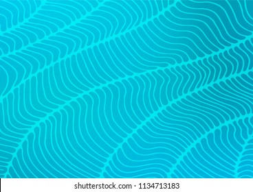 Light BLUE vector indian curved background. A completely new color illustration in doodle style. Hand painted design for web, wrapping, wallpaper.