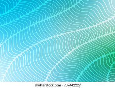 Light blue vector indian curved pattern. Brand-new colored illustration in blurry style with doodles. The textured pattern can be used for website.