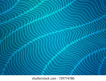 Light BLUE vector indian curved background. Sketchy hand drawn doodles on blurred background. The textured pattern can be used for website.