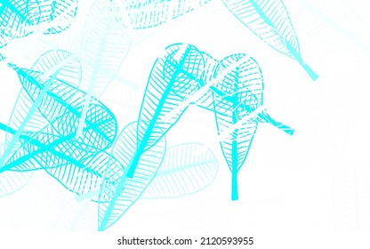 Light BLUE vector natural backdrop with leaves. Shining colored illustration with leaves in doodle style. Elegant pattern for your brand book.