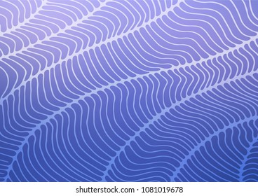 Light BLUE vector natural elegant texture. Glitter abstract illustration with doodles and Zen tangles. The pattern can be used for coloring books and pages for kids.