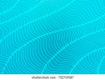 Light BLUE vector natural elegant pattern. Ethnic elegant natural pattern with gradient. The completely new template can be used for your brand book.