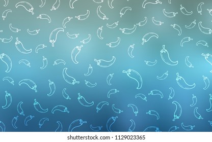 Light BLUE vector pattern with fresh peppers. Beautiful colored illustration with peppers in doodle style. Design for ad, poster, banner of cafes or restaurants.