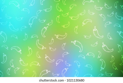 Light Blue, Yellow vector cover with chili peppers. Illustration with set of fresh pepers in doodle style. Doodle design for your business advert of cafes.