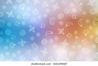 Light Blue, Yellow vector cover with cuisine gourmet. Glitter abstract sketch with gourmet food. Template for meal cooking in kitchen.