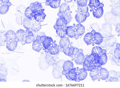 Light Blue, Yellow vector doodle layout with flowers. Colorful illustration with flowers in doodle style. Doodle design for your web site.