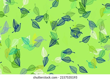 Light Blue, Yellow vector doodle backdrop. An elegant bright illustration with leaves in Natural style. Brand new style for your business design.
