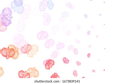 Light Blue, Yellow vector elegant pattern with flowers. An elegant bright illustration with flowers. Brand new style for your business design.