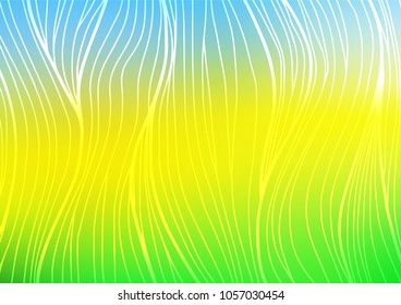 Light Blue, Yellow vector indian curved texture. A completely new color illustration in doodle style. The doodle design can be used for your web site.