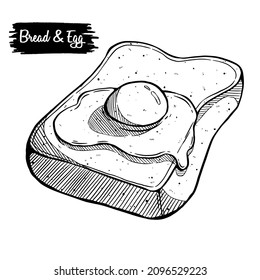 Light breakfast toast Brown bread and fried egg. Hand drawn bread slice and egg with yolk. Morning meal