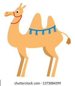 A light brown camel with blue tassels around the hump and a red rope around the neck vector color drawing or illustration 