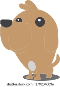 
a light brown dog is seen sitting cute waiting for its owner