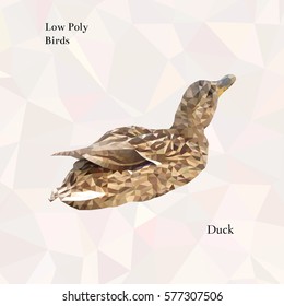 Light brown duck portrait from low poly. Vector polygonal illustration. Set of triangle birds. Realistic image