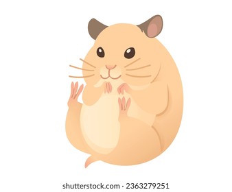 Light brown hamster cute cartoon animal design vector illustration isolated on white background