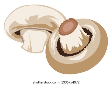 Light brown mushrooms vector illustration of vegetables on white background.