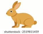 Light Brown Rabbit Standing on White Background