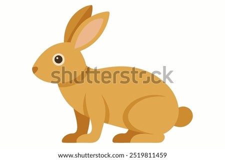 Light Brown Rabbit Standing on White Background