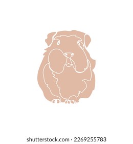 Light brown silhouette of cute guinea pig on white background. Vector illustration.