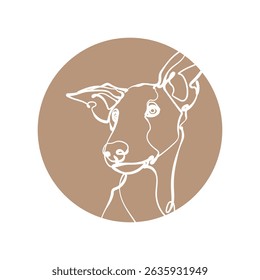 Light brown silhouette of the Ibizan Hound (head) in light brown circle. Vector illustration.