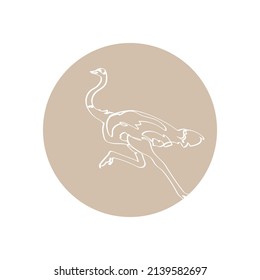 Light brown silhouette of running ostrich in light brown circle. Vector illustration.