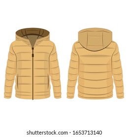 Light Brown Winter Down Zipped Jacket With Hood Isolated Vector On The White Background