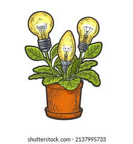 idea de bombilla de luz plantas flores línea de dibujo de color grabado ilustración vectorial. Diseño de impresión de ropa de camiseta. Imitación de tablero de raquetas. Imagen dibujada a mano en blanco y negro.