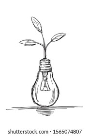 Light Bulb with A Plant Growing - Vector Illustration