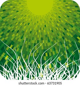Light burst green grass  background