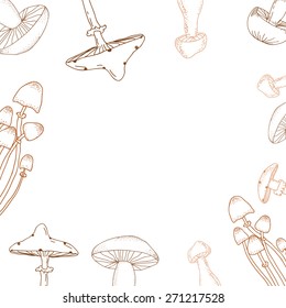 Light card background with different mushrooms
