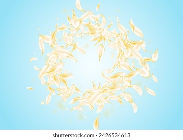 Light Cherry Blur Vector Blue Background. Delicate Falling Petal Texture. Yellow Lotus Spring Design. White Blossom Beauty Cover. Summer Floral Wallpaper.