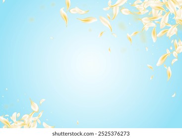 Fundo azul do vetor de queda de cereja clara. Modelo de pétala de desfoque delicado. Cobertura de concurso de flor branca. Gold Rose queda pano de fundo. Banner da Flor do Japão.
