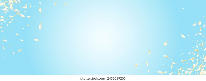 Light Cherry Tender Vector Panoramic Blue Background. White Beauty Sakura Design. Delicate Floral Flying Pattern. Yellow Petal Spring Cover. Falling Flower Wallpaper.