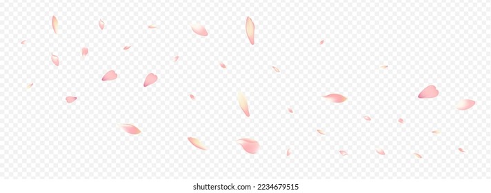 Light Cherry Vector Panoramic Transparent Background  Blossom Wallpaper Cover  Flower Sky Texture  Rose Graphic Congratulation  Purple Rosa Blur Backdrop 