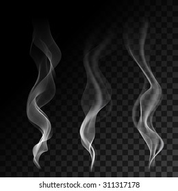 Light cigarette smoke waves on transparent background vector illustration