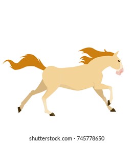 light colored horse running