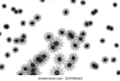 Light colored vector background with sea urchins. Shining illustration of colored sea urchins on white background. Abstract nature design for your business advert.