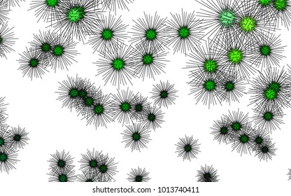 Light colored vector cover with sea urchins. Natural illustration with sea urchins on white background. The pattern can be used for wildlife ad, booklets.
