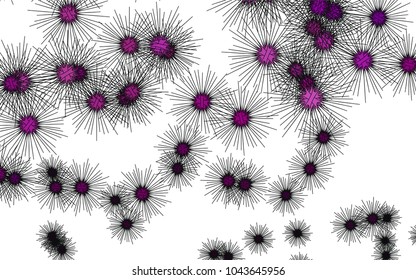 Light colored vector cover with sea urchins. Natural illustration with sea urchins on white background. The pattern can be used for websites of animals.